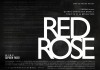 Red rose