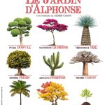 Le jardin d'Alphonse