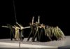 Le Roméo et Juliette abstrait de Sasha Waltz à l’Opéra Bastille