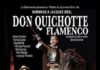 Don Quichotte Flamenco
