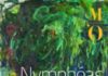 Nymphéas, l'abstraction américaine et le dernier Monet