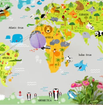 Comment renouveler la décoration de votre maison au meilleur prix ?