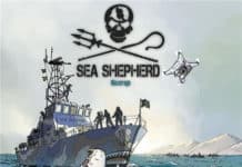 Sea Shepherd, Tome 1: Milagro, une BD sans concessions sur la sauvegarde des baleines aux Editions Robinson, sortie prévue le 17 juin 2020