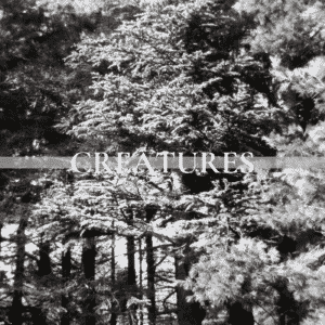 Claire Days présente ses belles chansons folk oniriques dans Creatures, son nouveau EP disponible depuis le 23/06