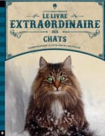 [Livre jeunesse] Le livre extraordinaire des chats (Little Urban)
