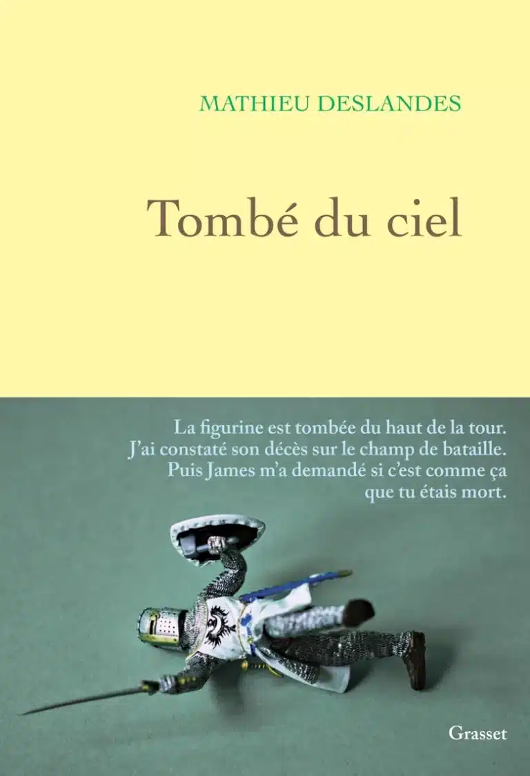 Tombé du ciel, un roman de Mathieu Deslandes (Grasset)