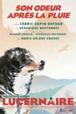 Une ode à l’affection canine avec Son odeur après la pluie au Lucernaire