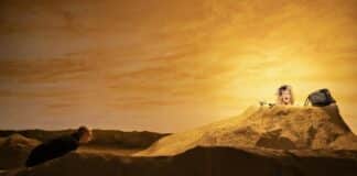 "Oh les beaux jours" – élégie pour une femme qui parle encore dans la lumière