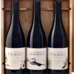 Dégustation de 3 cuvées rouges 2023 du Domaine de l’Hortus proposées en Coffret Fêtes de Noël