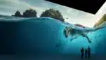 Exposition Planète Préhistorique : Dinosaures – L’Expérience Immersive à l’Atelier des Lumières: une belle plongée dans le passé à partir du 10 décembre