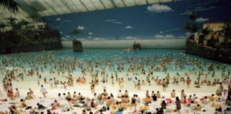 Le monde brûle, la glace fond, mais le buffet reste ouvert...dans la focale de Martin Parr