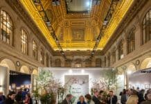 Au salon du dessin 2026, la patience du regard