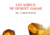 Les Adieux ne durent jamais - couverture - Jim et Laurent Bonneau - Grand Angle
