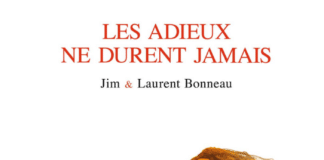 Les Adieux ne durent jamais - couverture - Jim et Laurent Bonneau - Grand Angle