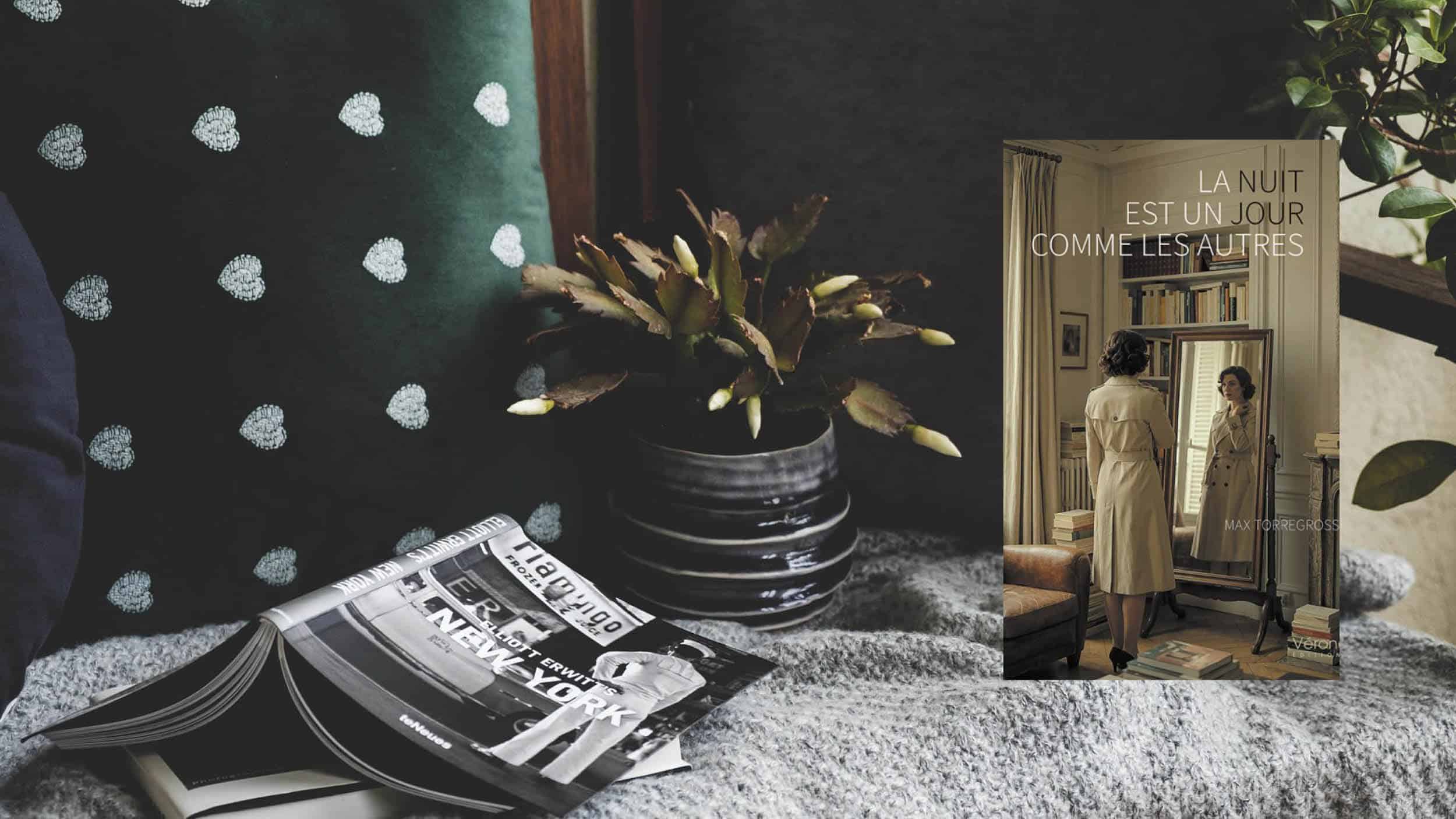 La nuit est un jour comme les autres, roman de Max Torregrossa aux éditions Vérone
