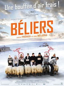 Béliers, un film de Grimur Hakonarson