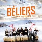 Béliers, un film de Grimur Hakonarson