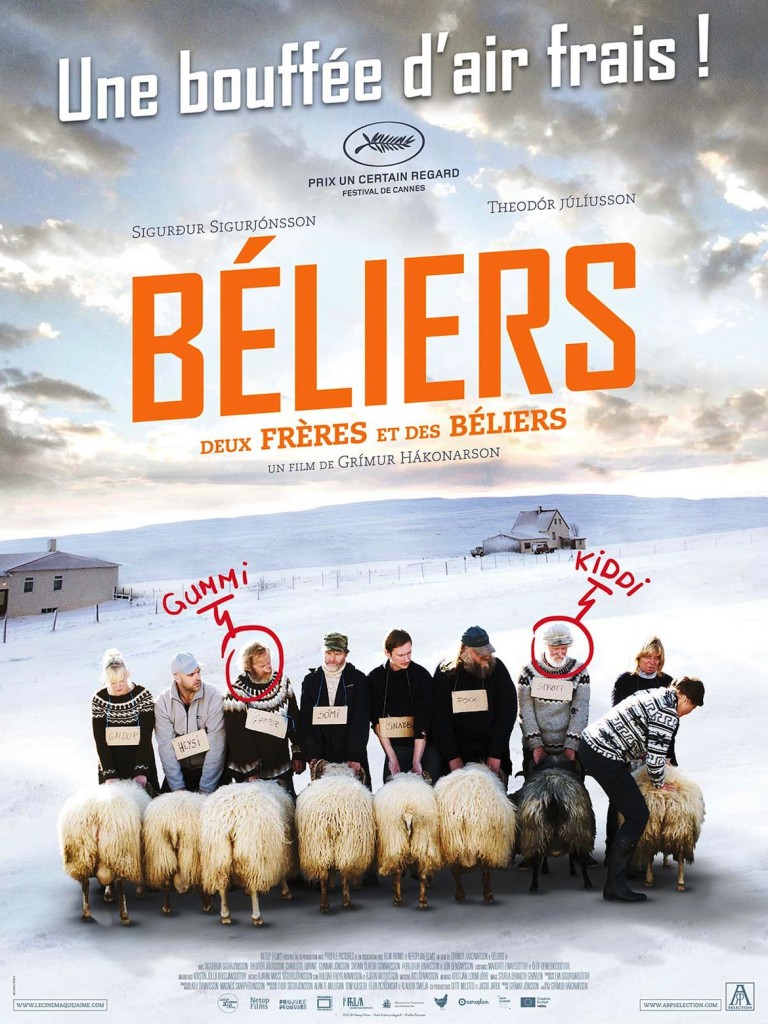Béliers, un film de Grimur Hakonarson