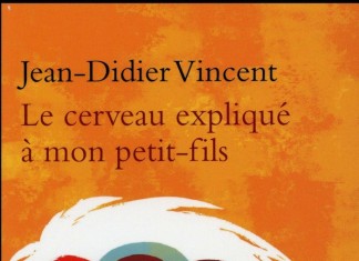 Le Cerveau expliqué à mon petit-fils