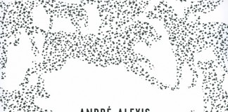 Nom d’un chien, un livre amoureux des chiens d’André Alexis