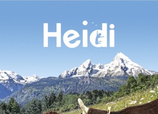 HEIDI