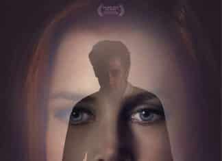 Nocturnal Animals