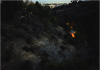 Kevin Morby