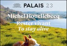 Immersion houellecquienne au Palais de Tokyo, à Paris Houellebecq