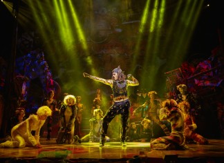 Cats le musical, une belle réussite au Théâtre Mogador