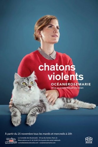 chatons-violents