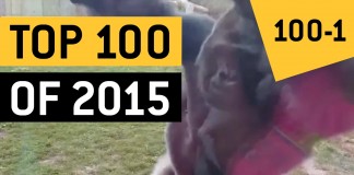 Top 100 des vidéos qui ont fait le buzz en 2015