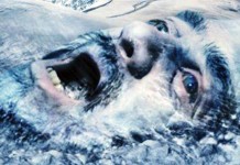 Age of ice