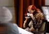 Retour du Tartuffe