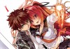 The testament of sister new devil