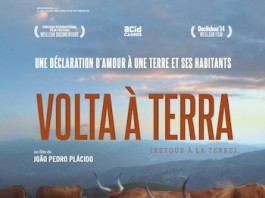 Volta à terra