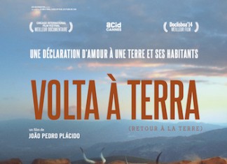 Volta à terra
